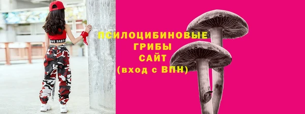 гидропоника Богородицк