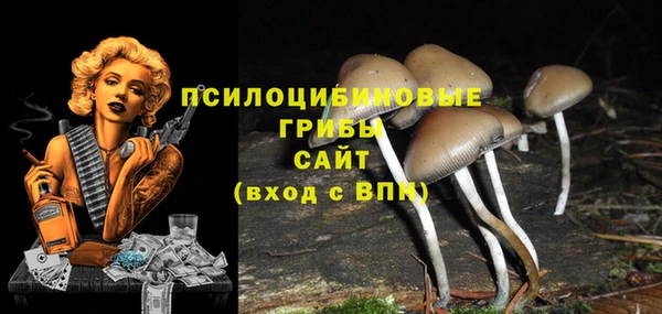 МДМА Богородск